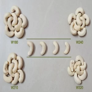 Konkani Cashew | Konkani Kaju | Grade Comparison in Size- SaGa Dry Fruits And Spices