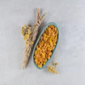 Premium Sangali/Nashik Raisins One Tree | Manuka - SaGa Dry Fruits And Spices